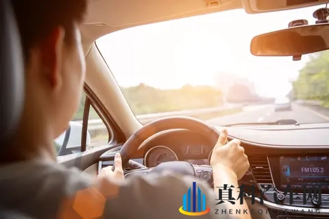 10万块买车钱,国产还是合资?这份避坑指南让你不花冤枉钱!-1