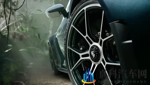 以自然景观为定制开发灵感,保时捷911 GT3 ‘Ocelot’正式发布-1