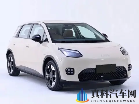 萤火虫终于有对手了,广汽_宁王_京东联合打造,最低499万起-3