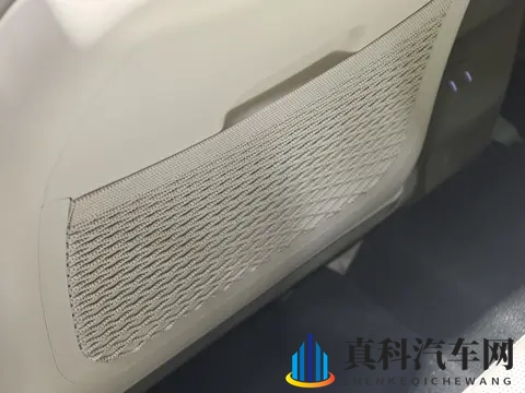 亚洲人与日本人j j zz:汽车文化新风尚:Jazz音乐与日本设计魅力碰撞-2