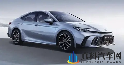 亲子伦XXXXX仙踪林:家庭用车新选择,引领潮流!-3