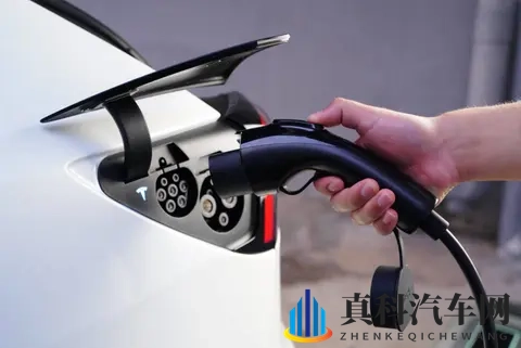 免费体育生手冲素材网站：免费资源任你挑选，体育生手冲必备素材库-2