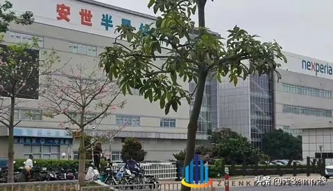 安世事件爆发一个多月后，以荷兰“认输”的结局告终？-1