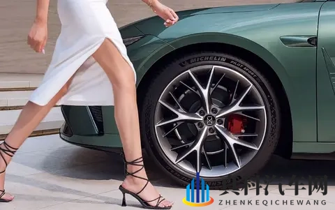 奇瑞星途品牌新车标曝光，网友：像是智界改的？-3