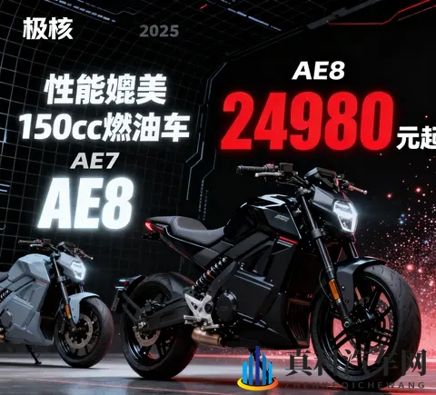 免费的黄色软件:汽车保养新招:专业软件助你轻松检测-3