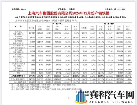 上汽销量连涨十个月，隐藏趋势与挑战更值得深思-3