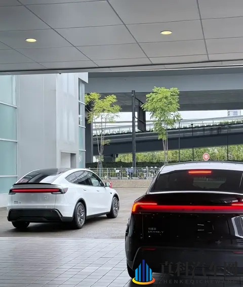 Model Y，黑白当道，未来会怎样-2