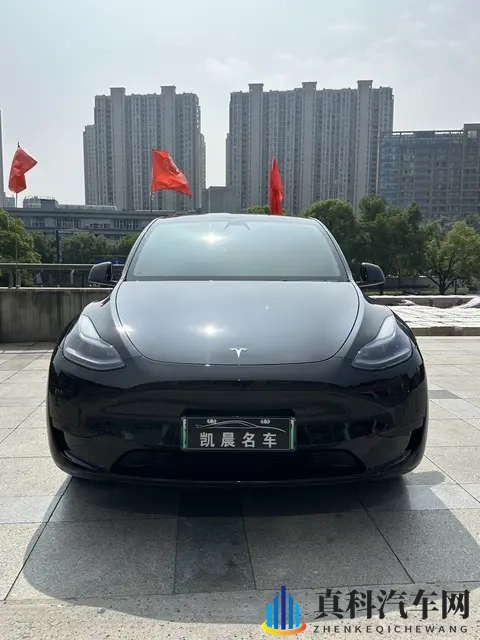 17万多开走特斯拉Model Y，代步通勤好选择？-1