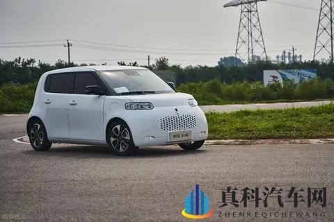 比亚迪“海獭”突袭东京,日本K-Car市场面临洗牌!-2