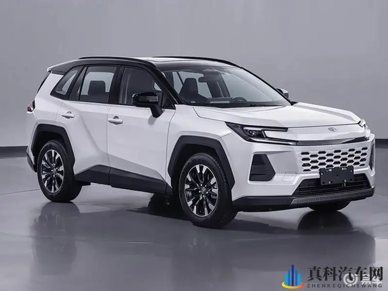 国产成人小电影：国产汽车崛起：技术革新，激情驾驭-1