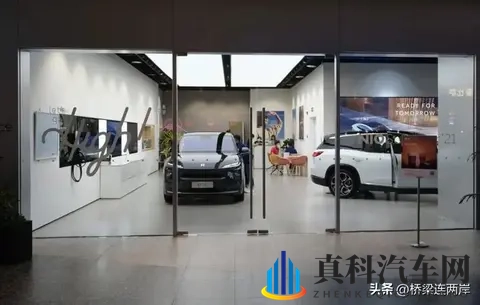 中国车欧洲斩获74%份额，为何德国市场仅29%？-2