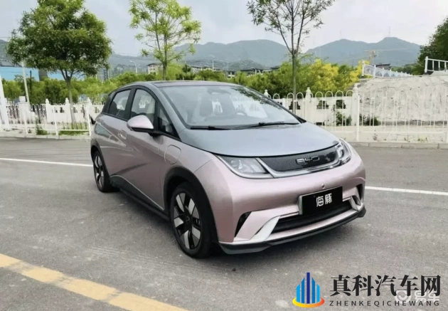 婷婷五月天丁香花:新能源汽车新宠,环保性能双丰收-1