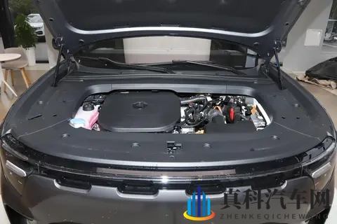 1699万起，smart开挂了？六边形战士究竟有多香-2