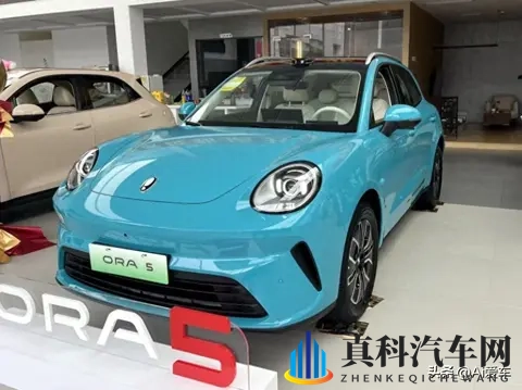 欧拉首款SUV到店实拍！ 带激光雷达还有女王副驾-1