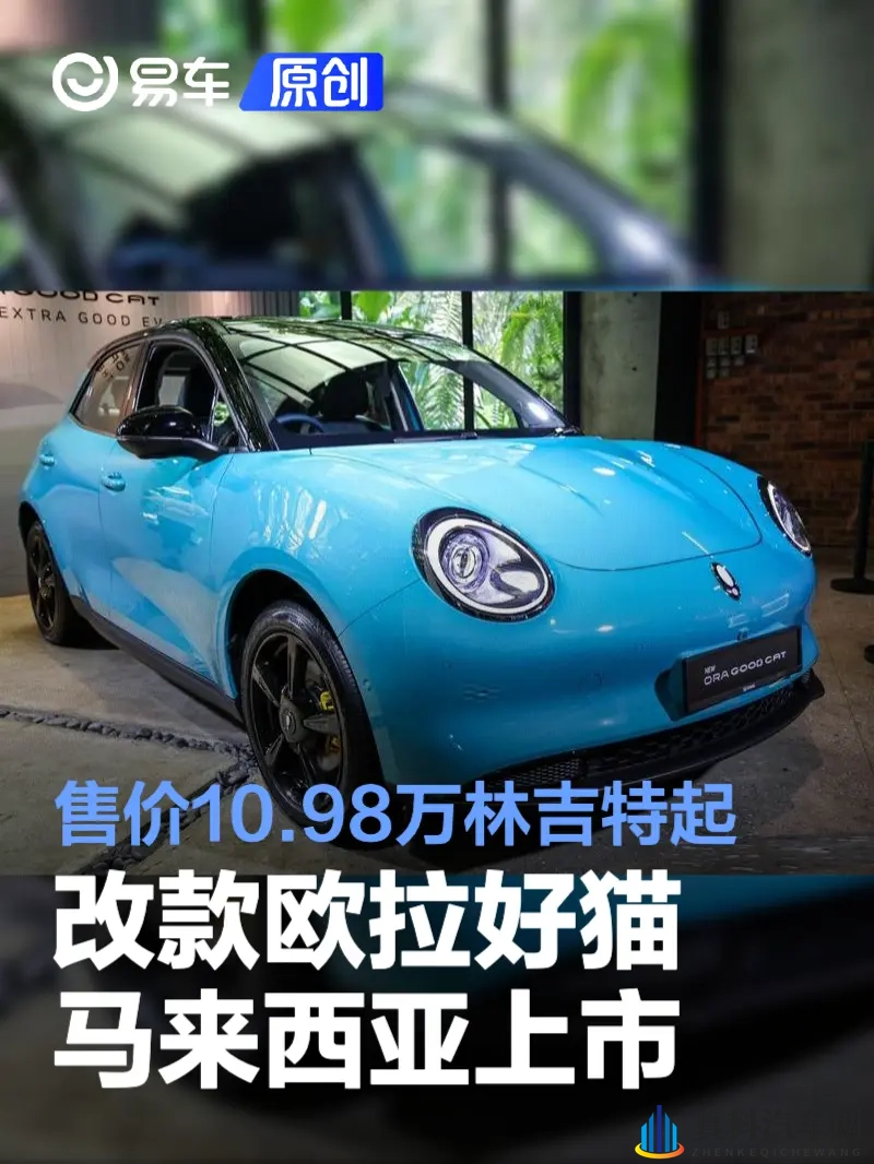 男女查查查：性别调查，一探究竟-3