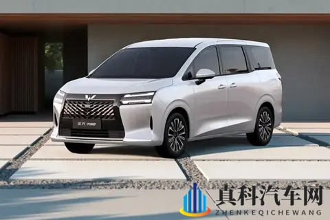 10 万级电滑门 + 真 7 座！星光 730 全动力适配，家用 MPV 闭眼冲-2