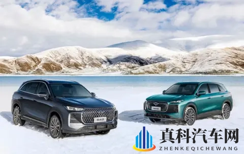 新一代瑞虎8买车攻略:直接冲顶配-2