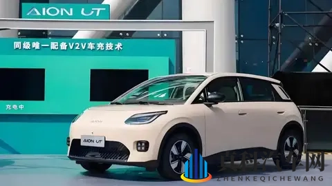 天天爱：每日情深，爱意绵长-2