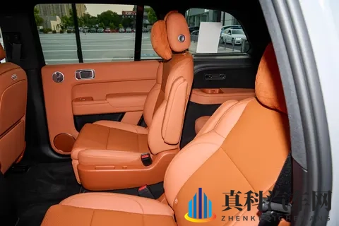 大六座SUV,家用选深蓝S09还是理想L9?一文讲清楚-1