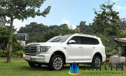 谁才是国内“越野一哥”?坦克、方程豹、猛士10月销量出炉-1