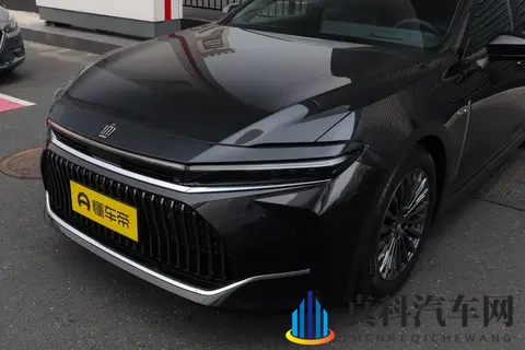 丁思聪雷蕾的精彩片段：丁思聪雷蕾演绎集锦，亮点频现-2