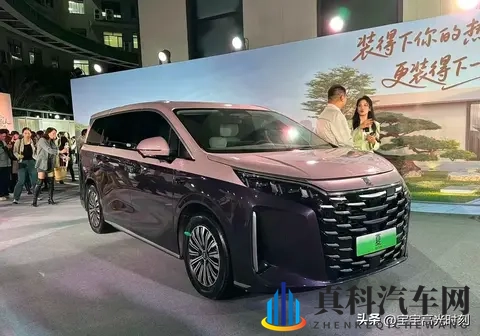 比亚迪地板价背后:车市地震里的得失与纠结-3