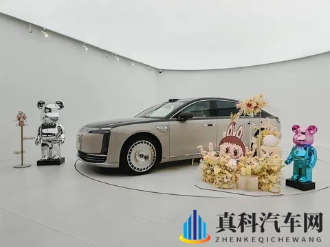 厦门尊享会：尊界s800护底板升级-1