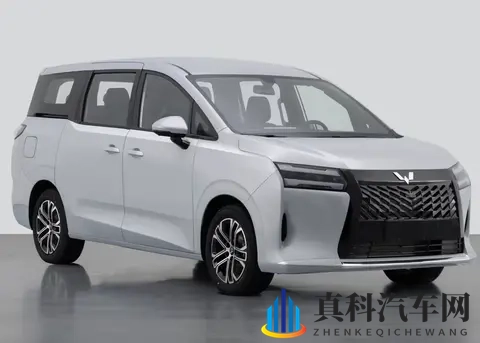 家用MPV买什么好？20多项实测，这款768万起的新车能打几分-1