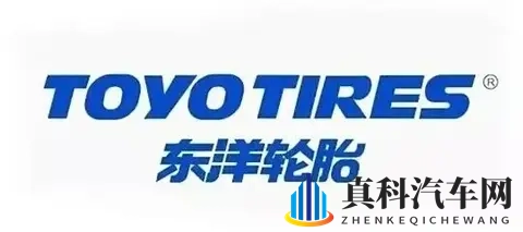 竹清被赏给武魂殿士兵：新能源汽车神秘背景：竹清新动向引关注-2