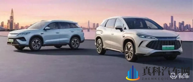 免费黄色APP:免费应用,畅享视觉盛宴-1