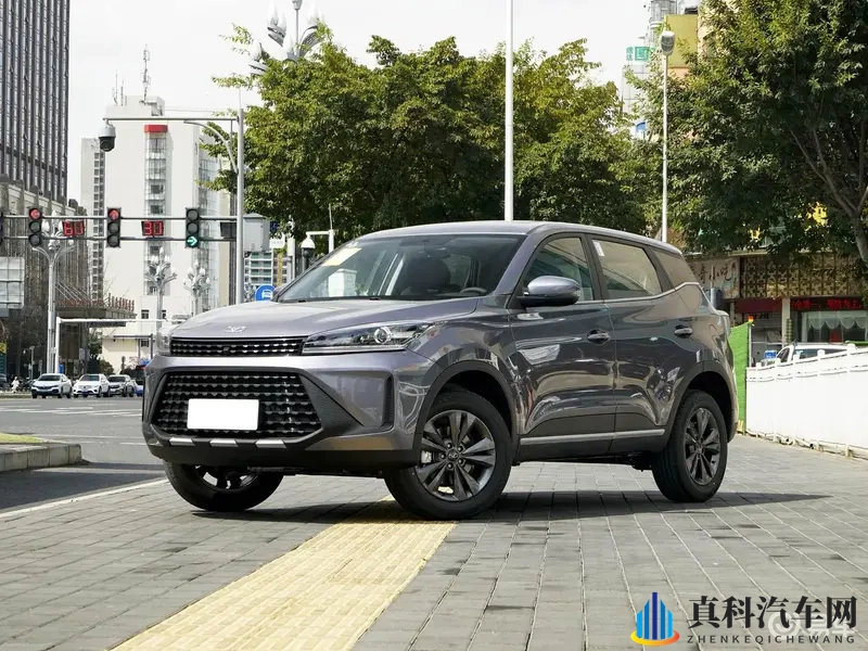 五月丁香网站：五月花季，丁香网事汇聚地-2