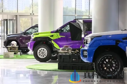 全新坦克400 四种动力如何选? 购车分析-2