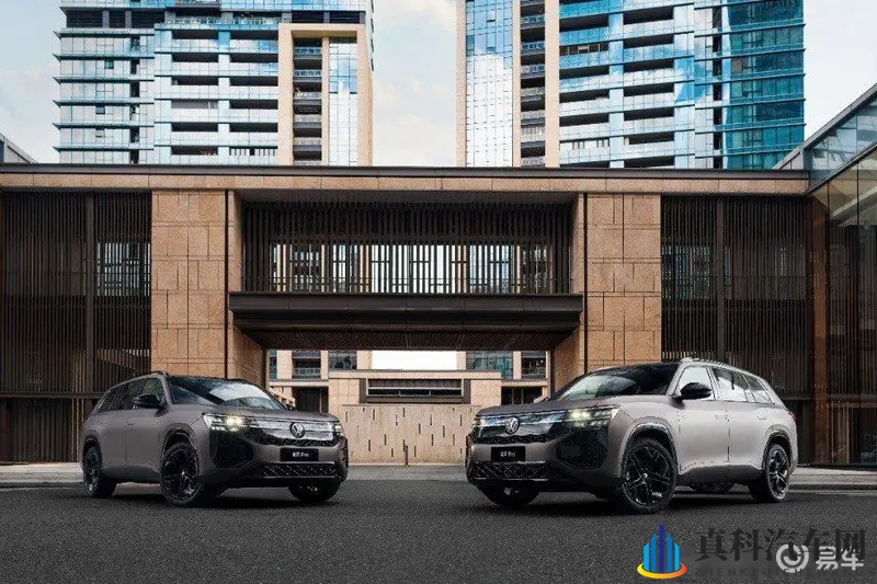 男生和女生一起羞羞羞:青春男女共度温馨时光-2