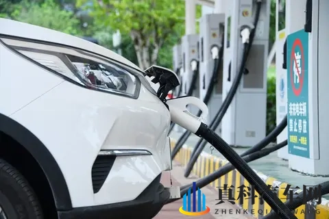 免费网站你懂我意思吧：无需付费平台，你明白的-1