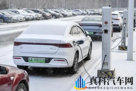 燃油车真的凉了?99% 车主用脚投票,这组数据戳破争议-3