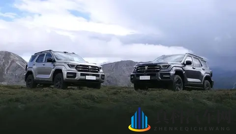 2498万元起,全新坦克400多动力齐发-1