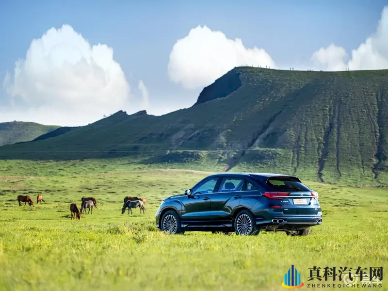 别让“伪七座”毁了假期,冠道大五座才是高价值之选-1