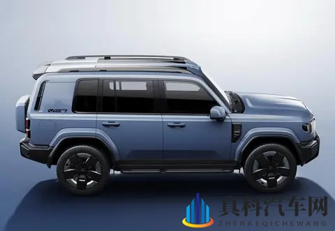 国产卫士冒尖了，城里城外都吃得开-3