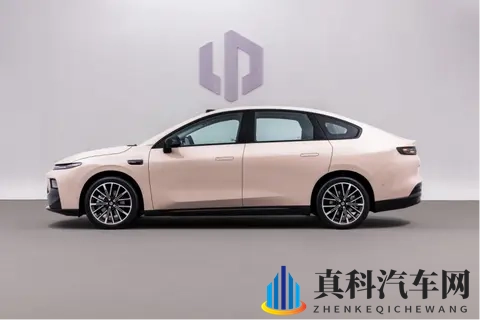 张柏芝殖器全照：隐私泄露风波：明星事件警示信息安全-3