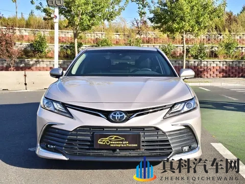 少妇麻豆：青春辣妈，网络模特风采展示-2