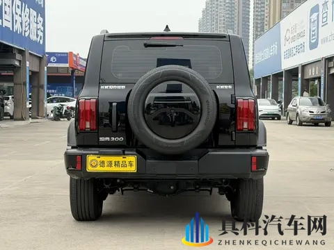 准新坦克300：20T征服者，黑色硬汉风，圆你越野梦-3