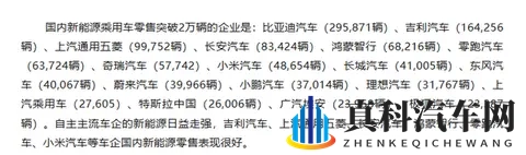 国内有17家车企新能源月销突破2万辆 鸿蒙和小米在列-2