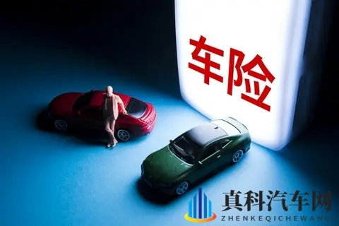 高岭花家的二姐妹:高岭之巅姐妹情深-1