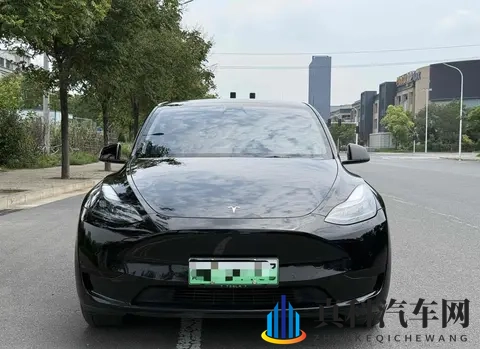 二手特斯拉Model Y购买指南：性价比，风险，未来？-2