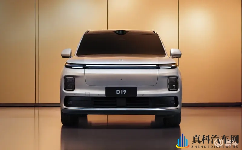 零跑D19的豪赌:堆料王能否炸穿30万天花板?-1