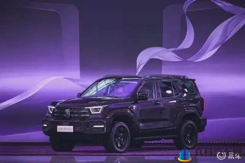 红桃成人：科技革新，新势力汽车品牌崛起，引领潮流趋势-3