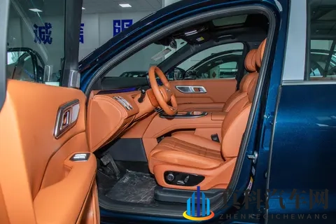 深蓝 S09 vs 腾势 N9！家庭 SUV “六边形战士” 花落谁家？-2