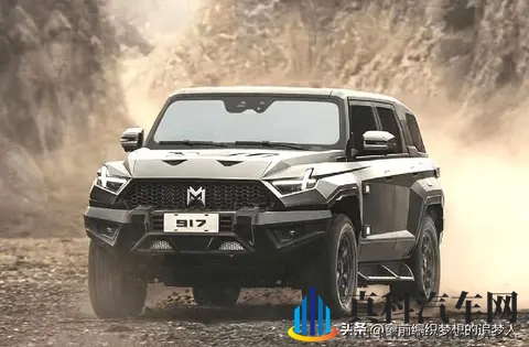 买车总踩坑?车企多品牌战略揭秘 新手也能选对车-3