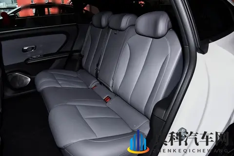 15万级新能源中大型轿车，后排加热_通风_按摩，够不够香？-2