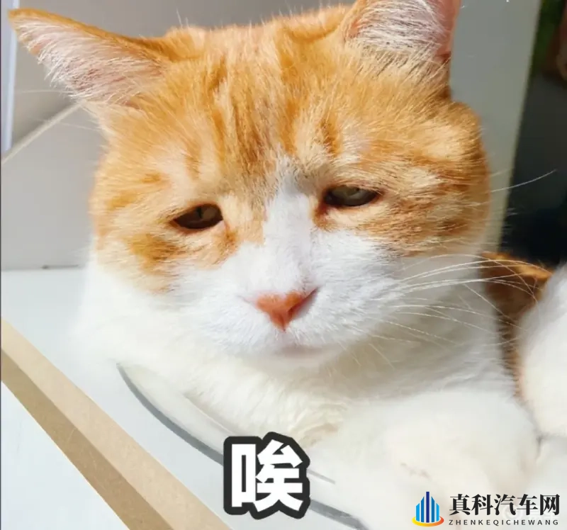 北京现代EO羿欧，迟暮韩系的“秋日挽歌”难成复苏“东风”-1